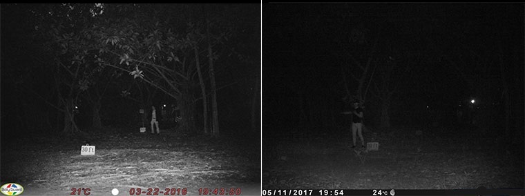 Рис. 2 Сравнение дистанции ночной подсветки фотоловушек Bolymedia (слева) и другого производителя (справа)