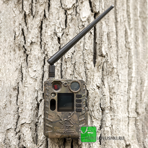 Фотоловушка BolyGuard BG410-M