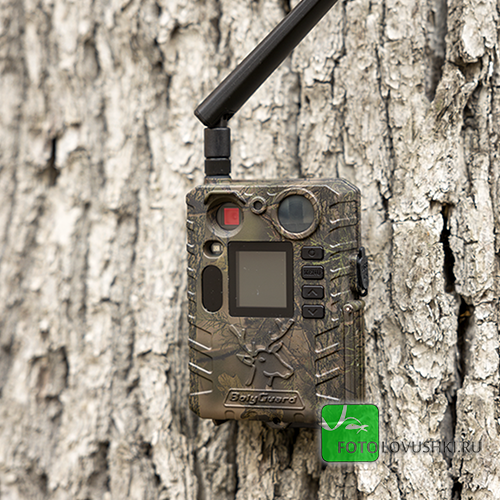 Фотоловушка BolyGuard BG410-M