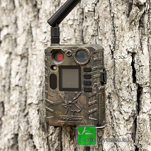 Фотоловушка BolyGuard BG410-M