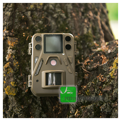 Фотоловушка BolyGuard SG520-DB