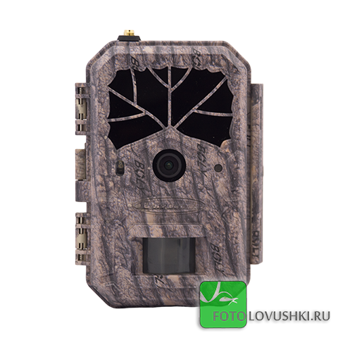 Фотоловушка BolyGuard BG636-48M