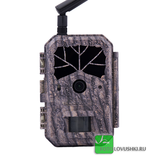 Фотоловушка BolyGuard BG636-48M