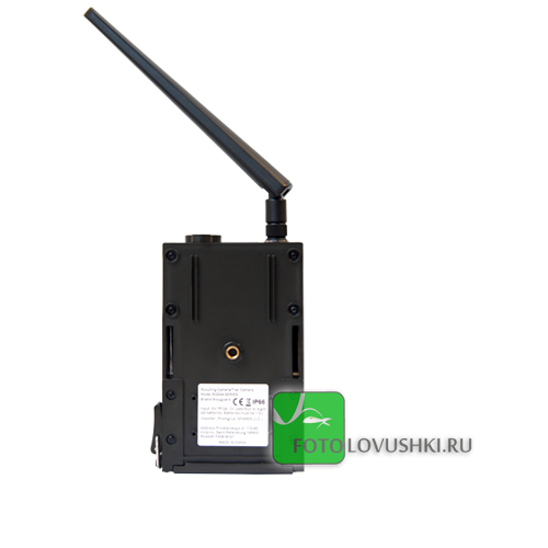 Фотоловушка BolyGuard BG584G-24mHD 1 Фотоловушка BolyGuard BG584G-24mHD 1